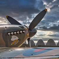 Buy canvas prints of Majestic BBMF Hurricane LF363 by Martin Day