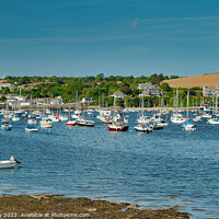 Buy canvas prints of Majestic Yachts in Falmouth by Martin Day