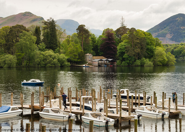 Serenity at Derwentwater Picture Board by Martin Day