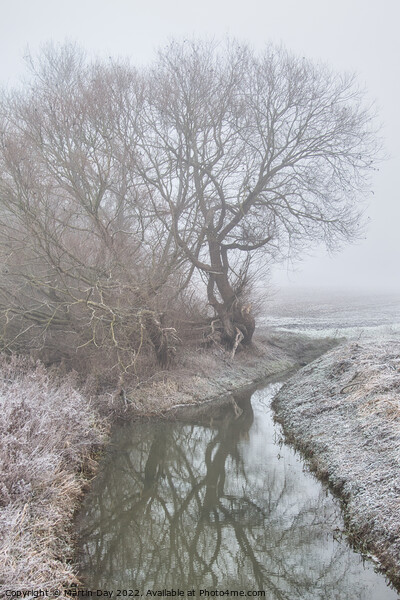 Enchanting Winter Morning Along The River Bain Picture Board by Martin Day