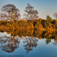 Buy canvas prints of Gilded Reflections by Martin Day