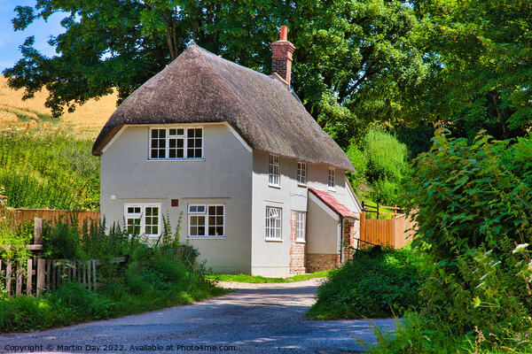 Idyllic Thatched Cottage in Dorset Picture Board by Martin Day