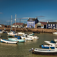 Buy canvas prints of Aberaeron Harbour and Harbourmaster Hotel by Martin Day