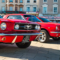 Buy canvas prints of Mustang Twins by Martin Day