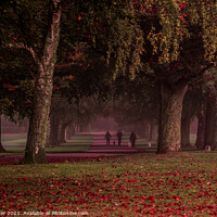 Buy canvas prints of A walk in the park by Neil Porter