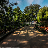 Buy canvas prints of Pathway in the Park by Neil Porter