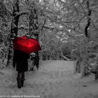 Buy canvas prints of Walking in a Winter Wonderland by Neil Porter