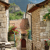Buy canvas prints of Village houses in the Tarn France. by Ann Mechan