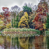 Buy canvas prints of Hampden Park Lake by Gareth Parkes