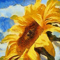 Buy canvas prints of Sun Flower by Gareth Parkes
