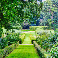 Buy canvas prints of Rococo Garden by Gareth Parkes