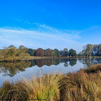 Buy canvas prints of Pen Ponds at Richmond Park by Gareth Parkes