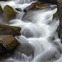 Buy canvas prints of Swallow Falls  by Fiona Etkin