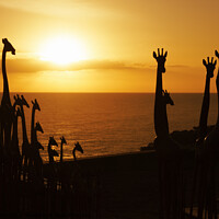 Buy canvas prints of Giraffe sculptures silhouette by Fiona Etkin