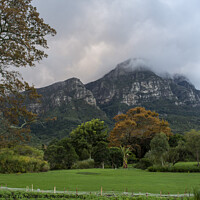 Buy canvas prints of Mountainview from Kirstenbosch gdns by Fiona Etkin