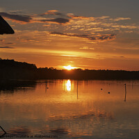 Buy canvas prints of Sunset at Ranworth Broads by Fiona Etkin
