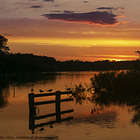 Buy canvas prints of Sunset at Ranworth RSPB  by Fiona Etkin
