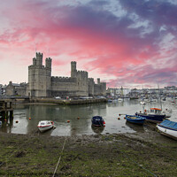 Buy canvas prints of Caernarfon Castle under a pink sky by Fiona Etkin
