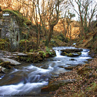 Buy canvas prints of Trethevy Mill and Rocky Falls by Fiona Etkin