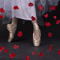 Buy canvas prints of Ballet Slippers and Rose Petals by Fiona Etkin