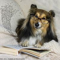 Buy canvas prints of Benji reading a book by Fiona Etkin