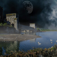 Buy canvas prints of Conwy Castle nightscape by Fiona Etkin
