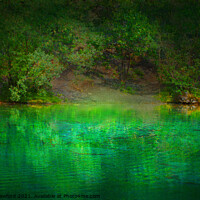Buy canvas prints of Green lake water with trees in Canmore Alberta Rocky Mountains by PAULINE Crawford