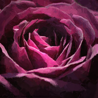 Buy canvas prints of Purple Rose Painting by PAULINE Crawford