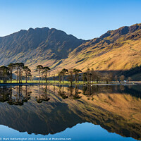 Buy canvas prints of Buttermere Pines and Haystacks by Mark Hetherington