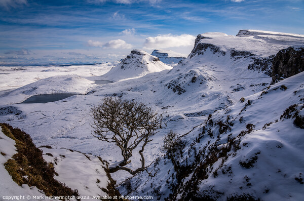 Quiraing Lone Tree Picture Board by Mark Hetherington