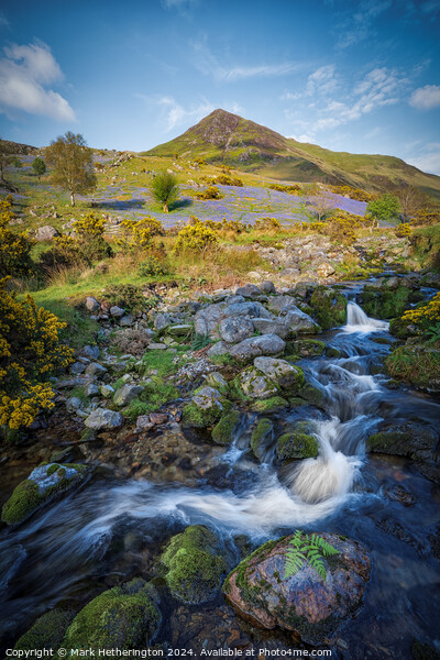 Rannerdale Beck and Whiteless Pike Picture Board by Mark Hetherington