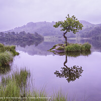 Rydal Water Tranquility