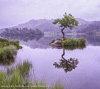 Click to show how this picture will look as a piece of wall art