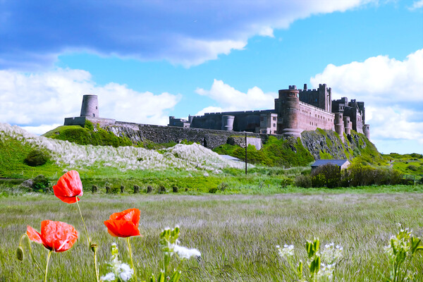 Bamburgh Castle Picture Board by Picture Wizard