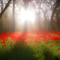 Buy canvas prints of Sun Bathed Poppies by Picture Wizard