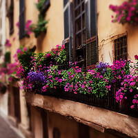 Buy canvas prints of Italian Town by Picture Wizard
