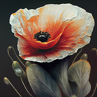 Buy canvas prints of A Poppy by Picture Wizard