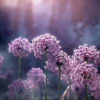 Buy canvas prints of Purple Allium Flowers by Picture Wizard