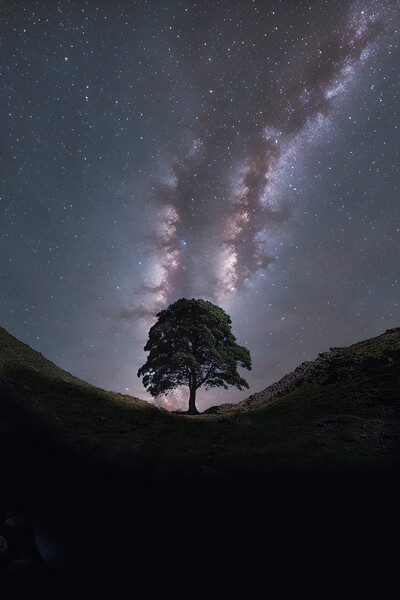 Sycamore Gap Milky Way Picture Board by Picture Wizard