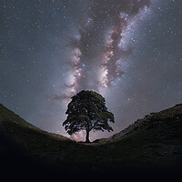 Buy canvas prints of Sycamore Gap Milky Way by Picture Wizard
