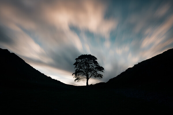 Sycamore Gap Morning Picture Board by Picture Wizard