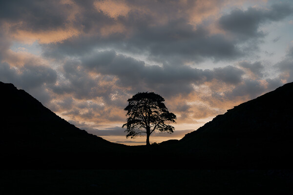 Sycamore Gap Picture Board by Picture Wizard