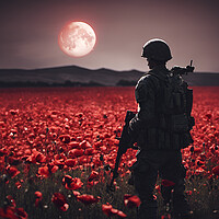 Buy canvas prints of Soldier Poppy Field lest we forget by Picture Wizard