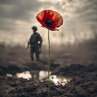 Buy canvas prints of Poppy Soldier Remembrance by Picture Wizard