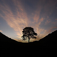 Buy canvas prints of Sycamore Gap by Picture Wizard