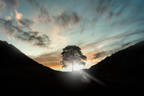 Sycamore Gap Picture Board by Picture Wizard