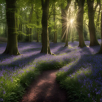 Buy canvas prints of Bluebell Woods by Picture Wizard