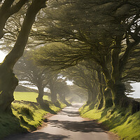 Buy canvas prints of Avenue of Beech Trees by Picture Wizard