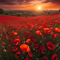 Buy canvas prints of Poppy Field Sunrise by Picture Wizard