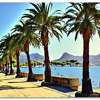 Buy canvas prints of Puerto Pollensa by Picture Wizard